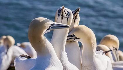 kaiyun:云端之翼,开启数字化新纪元