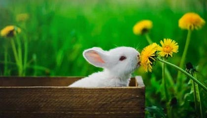 开云登录-前队友谈字母打队友头：应该是开玩笑 但要打我我不会善罢甘休